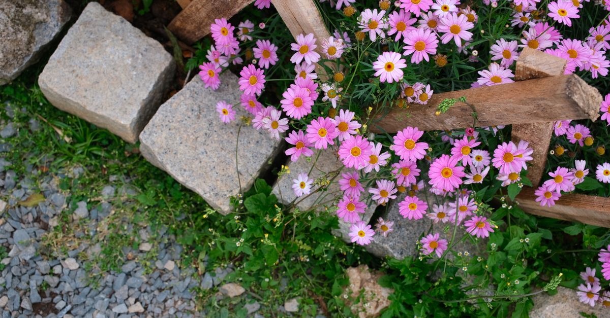 Stone by Stone: Build Stunning Raised Garden Beds with Fieldstones