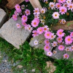Stone by Stone: Build Stunning Raised Garden Beds with Fieldstones