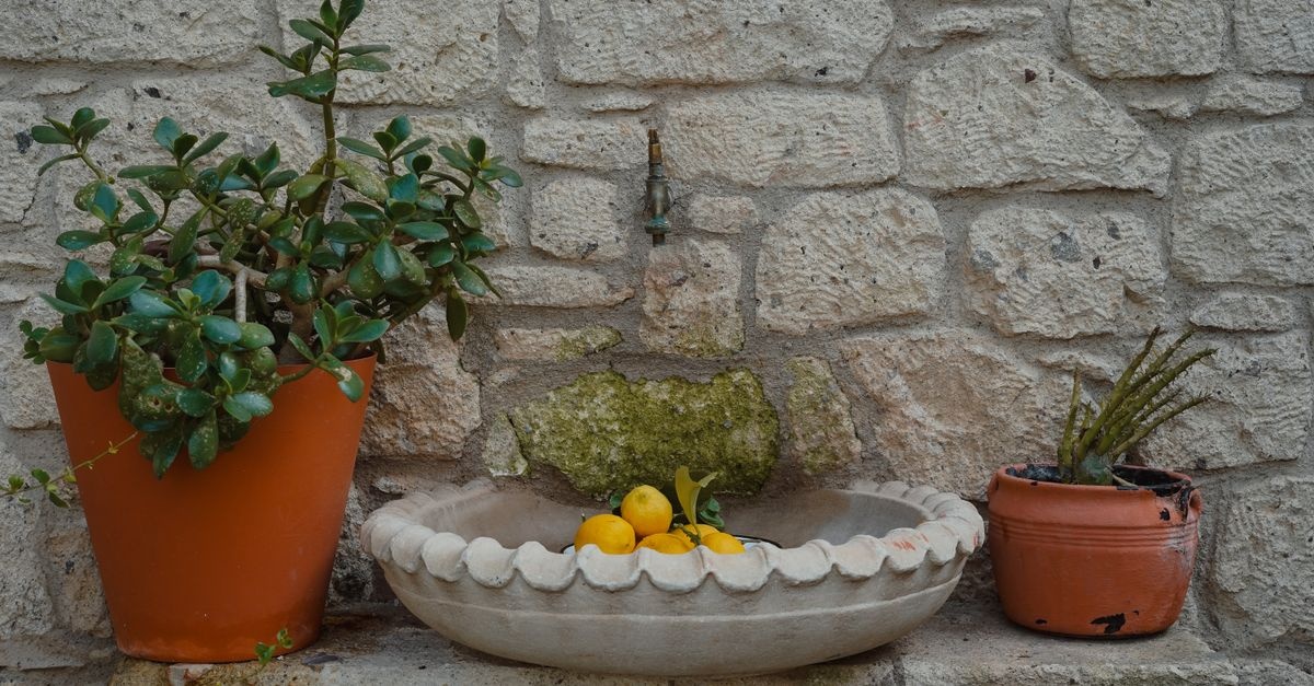 Sculpting Serenity: Stone Water Features That Transform Your Garden
