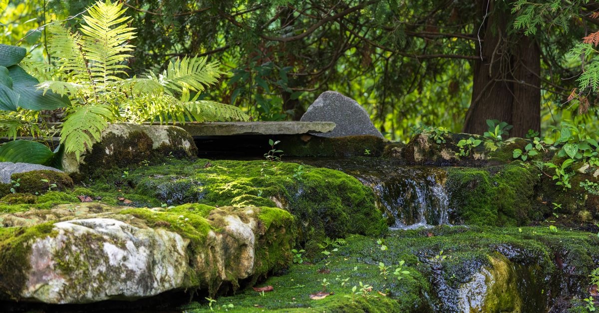 Serene Backyard Cascades: Rock Waterfall Ideas Powered by Whisper-Quiet Pumps