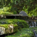 Serene Backyard Cascades: Rock Waterfall Ideas Powered by Whisper-Quiet Pumps