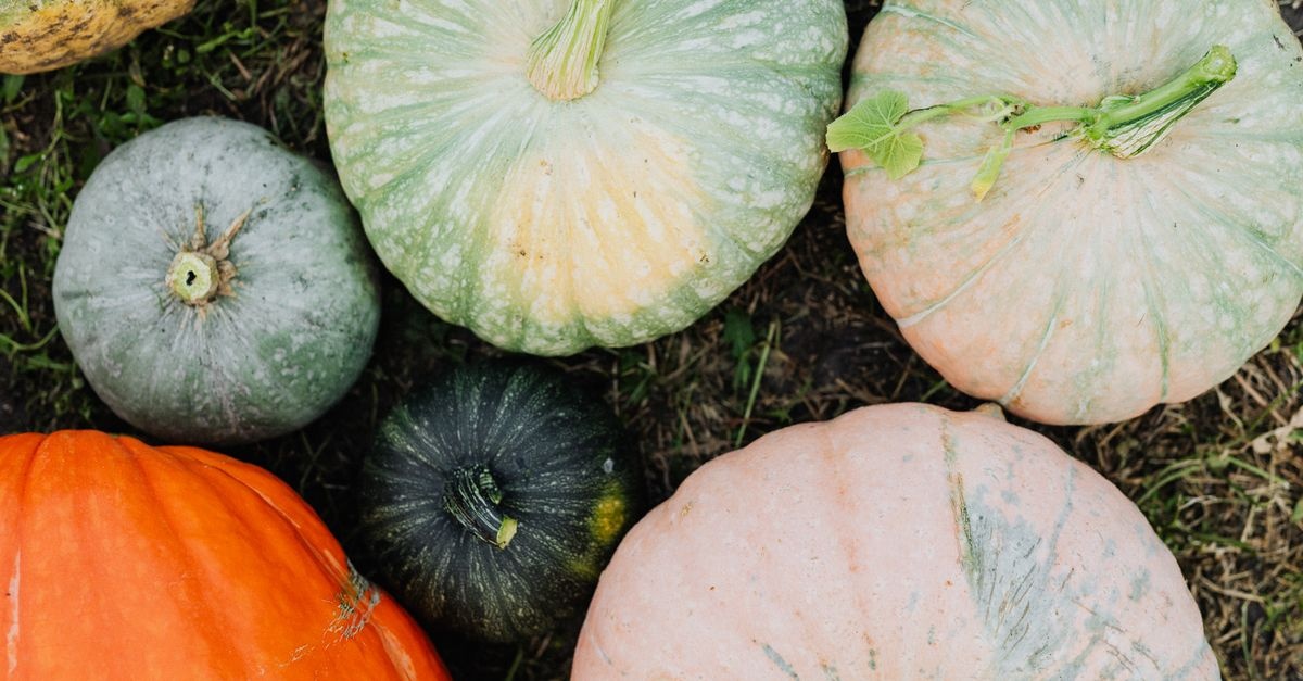 Gourd-geous Garden Glow-Up: Autumn Pumpkin Styling Ideas You'll Love