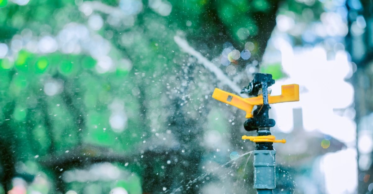 Save Water, Grow More: 10 Budget-Friendly DIY Drip Irrigation Ideas for a Lush Home Garden