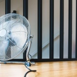 Breathe Easy: 12 Clever Ways to Ventilate Your Home Naturally (No Gadgets Required)