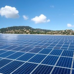 Sunshine vs. Surcharges: What Capacity Fees Mean for Your Solar Savings