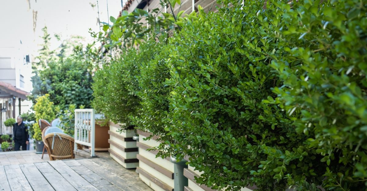 Small Space, Big Impact: Build a Cozy Concrete-Slab Patio in a Weekend